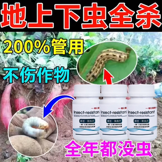 栾川县园艺防虫片糖化硼肥片驱虫除蚜虫蓟马白粉虱盆栽果花卉植物防烂