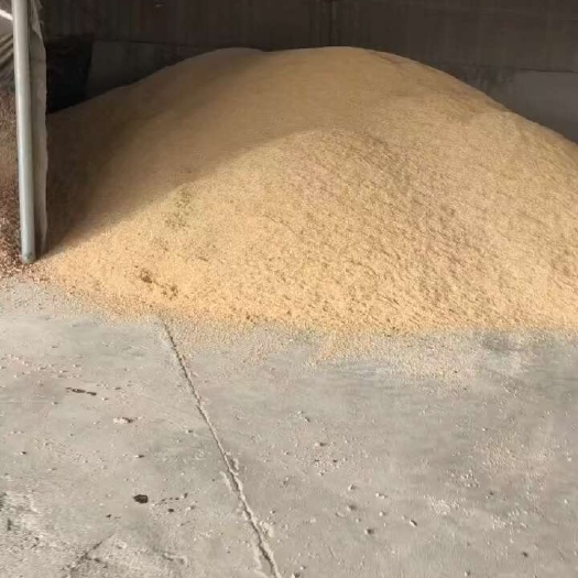 永济市养殖碎玉米