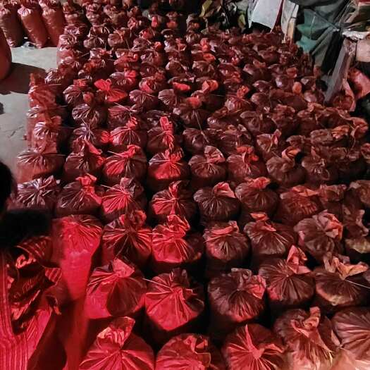 文山市云南高山早洋荷