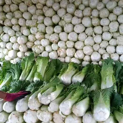 陆良县精品绍菜