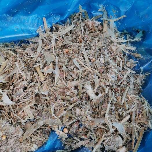 大同全珠青贮小方包，质量好，价格便宜