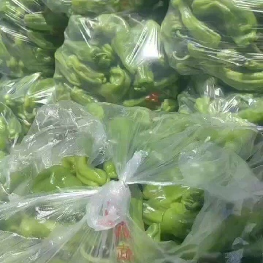 青椒