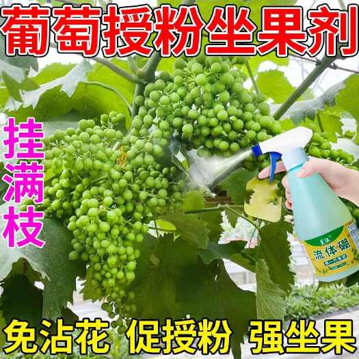 栾川县巨峰葡萄保果灵强力授粉保花保果防落果防裂果树坐果灵果树授粉精