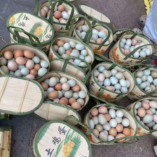 高州市鸡蛋
