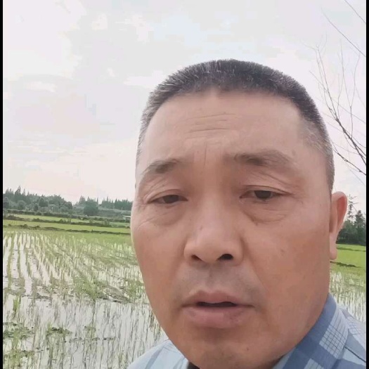 崇州市肥料套餐
