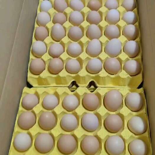 厦门精品中的精品土鸡蛋。