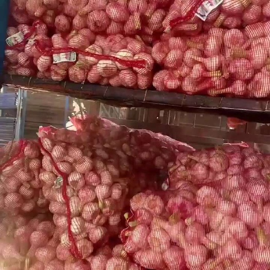 杞县河南扒皮鲜蒜