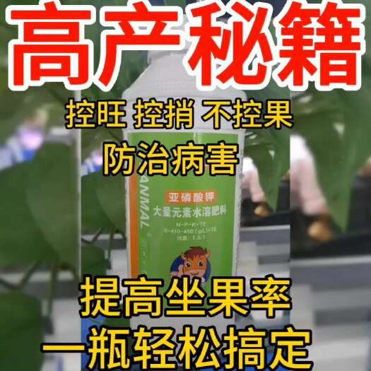 新郑市以色列赞玛亚磷酸钾