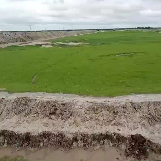 科左中旗盐碱地，废弃地