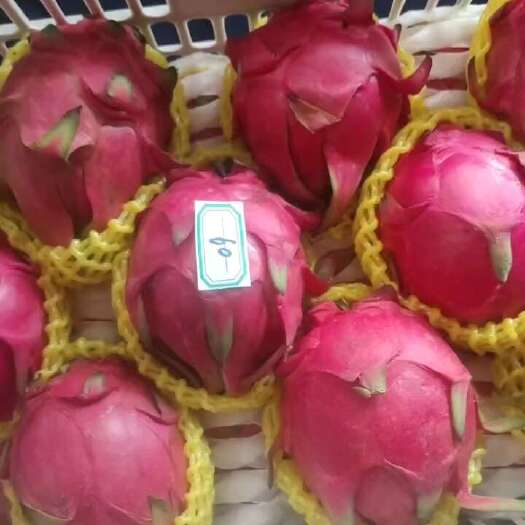 遂溪县金都
