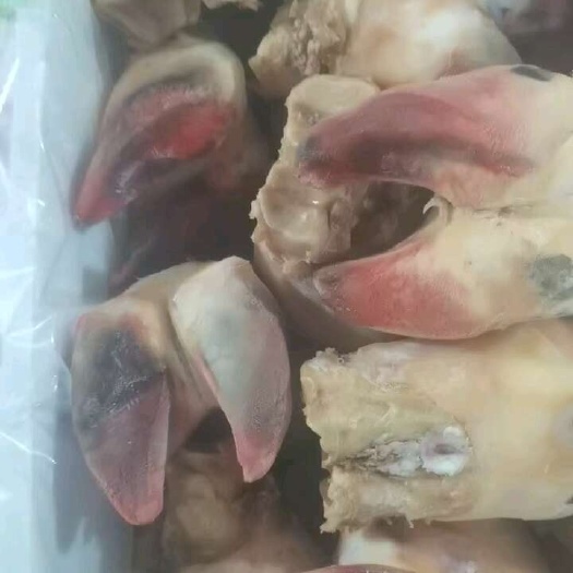 牛蹄