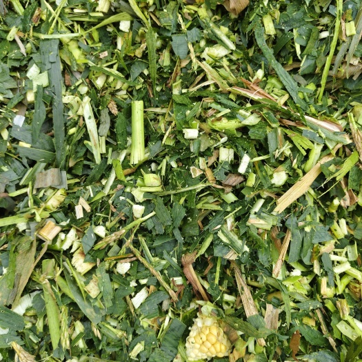 牛羊甜玉米青贮包装料，散装！