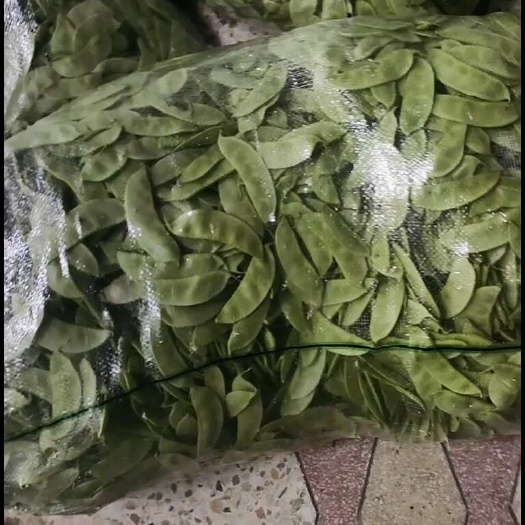 淮安绿扁豆