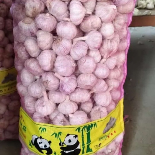 周口新鲜大蒜