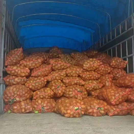南宁广东香水柠檬榨汁果