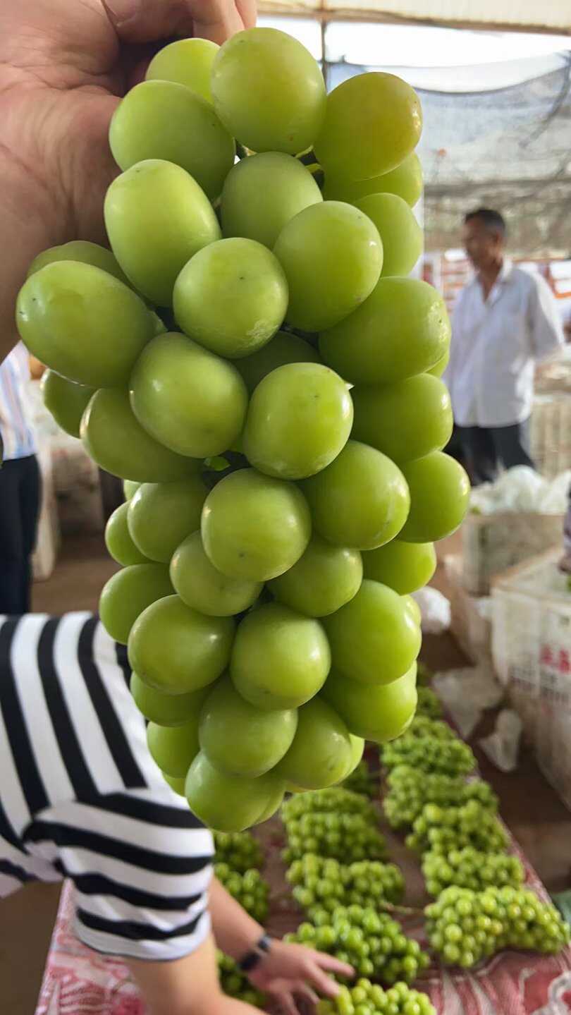 鴻運果品購銷商行