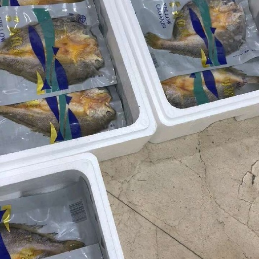 大黄鱼  自然晒黄花鱼干黄鱼鲞好吃来自源味
