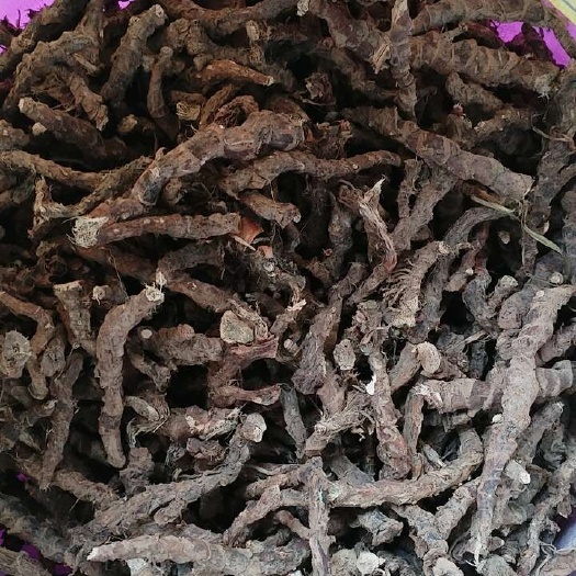 资源县茴香菖蒲干货，沙姜干货，山奈干货
