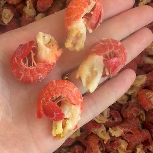 连云港干冰龙虾尾  今年新货