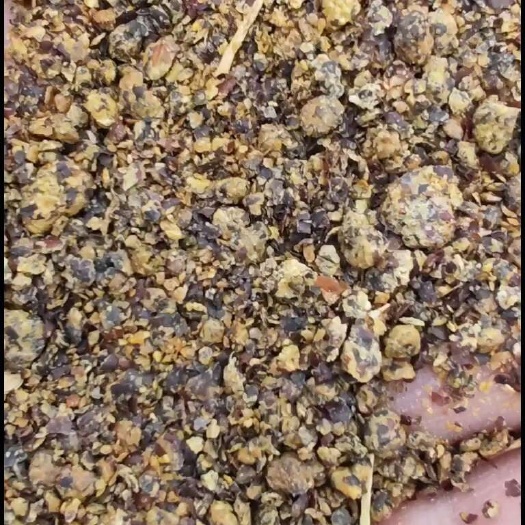 合肥菜粕