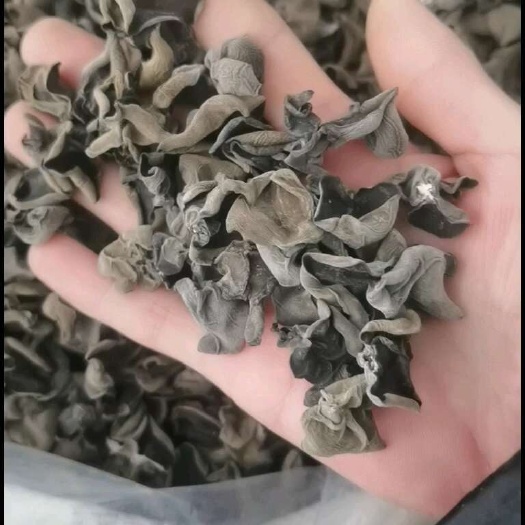 长沙头茬东北黑木耳干货，泡发率高，肉厚无根，东北特产，欢迎咨询