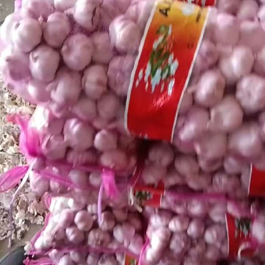 许昌大蒜