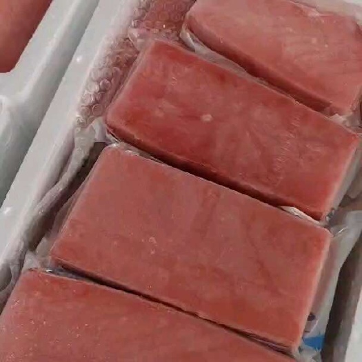 海口中段金枪鱼
