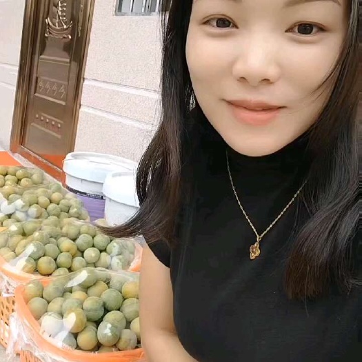 镇宁县蜂糖李