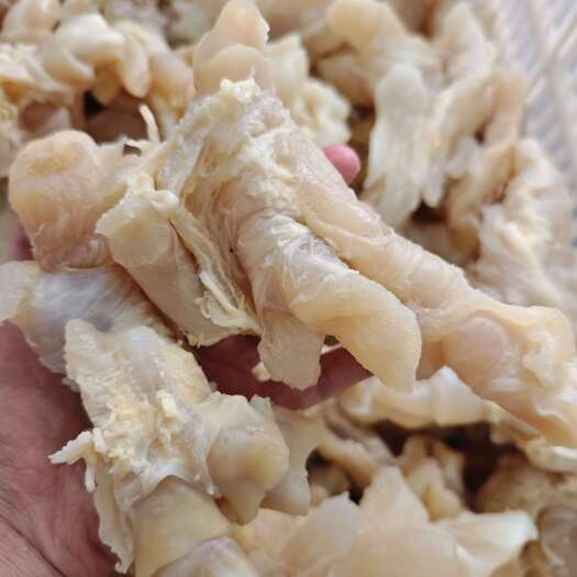 孝感熟牛筋 牛蹄筋 全熟 牛副产品 纯干货 厂家直发