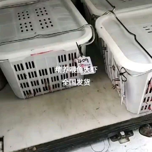 江苏高淳固城湖精品蟹塘小龙虾上市。小中大全规格分拣。基地直供