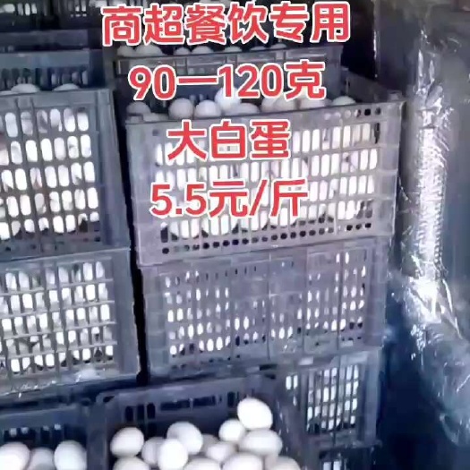 石狮市大白蛋90一120克，商超餐饮专用5.5元/斤，量大从优
