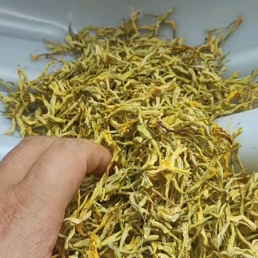 枞阳县高山金银花