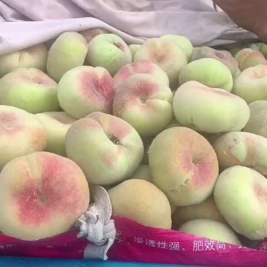 桃子，油桃，扁桃