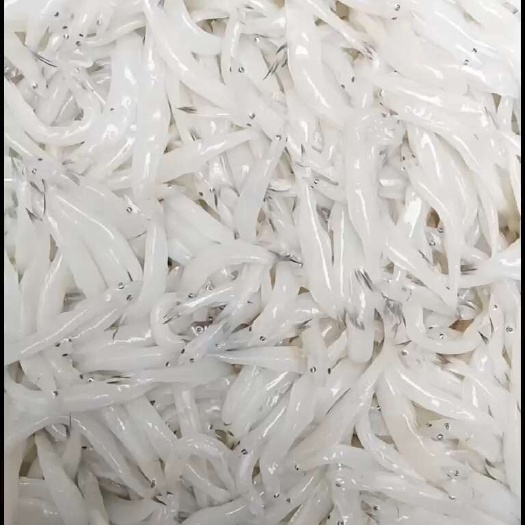 规格10-12.解冻质量好