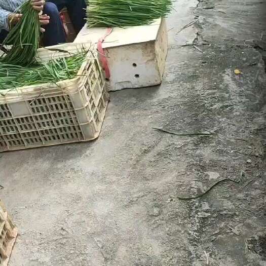 南宁便宜