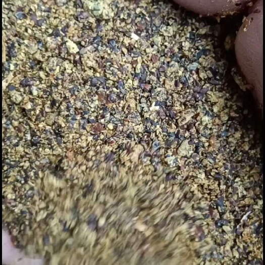 合肥菜籽粕