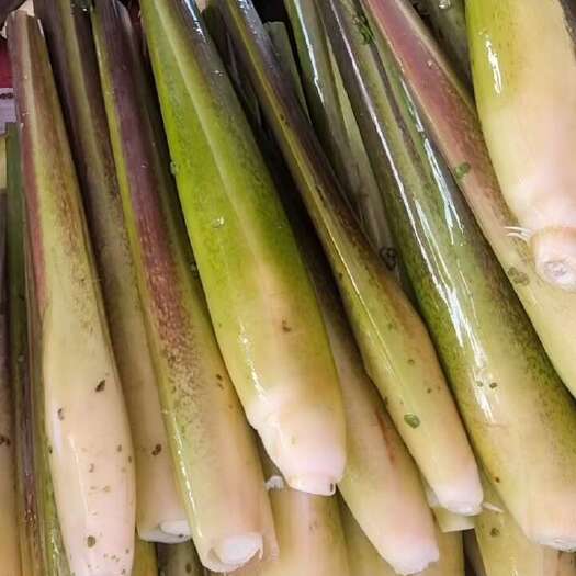 霍邱县现货茭白瓜批发出售