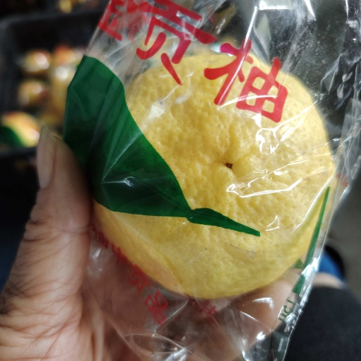 麻阳县黄金贡柚