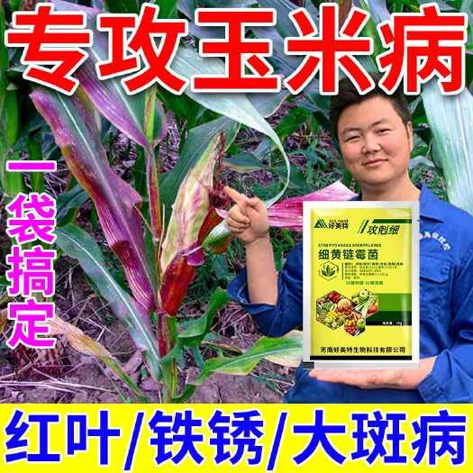 栾川县玉米病全管全能王叶斑病黄叶枯萎病叶黄化红叶病白叶病防病叶面肥
