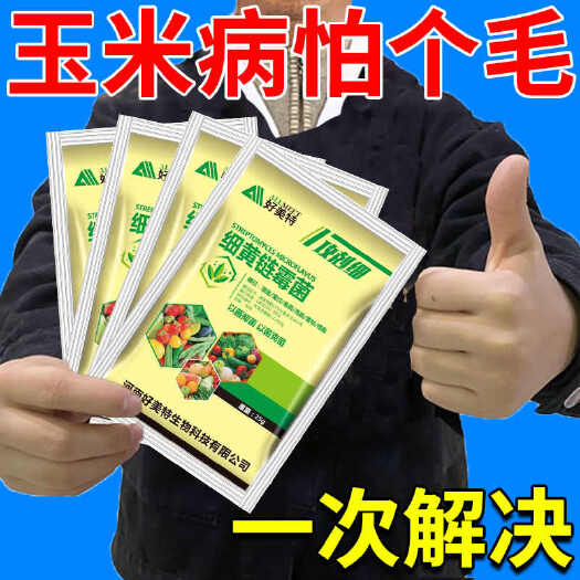 栾川县急救玉米苗红叶病专用剂病全管茎基腐病白叶病青枯害虫玉米清菌肥