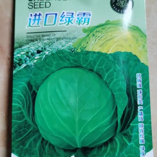 中宁县精品小甘蓝，有要的老板联系2024    6   10