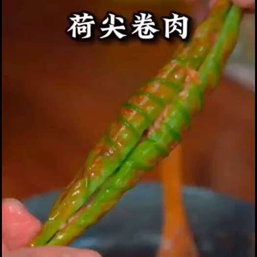 微山湖新鲜荷叶尖荷叶卷新荷叶嫩尖嫩荷叶食用凉拌炒鸡蛋