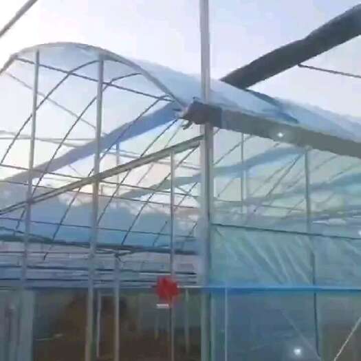 沭阳县种植大棚 养殖大棚  连栋棚 质保10年 支持货到付款