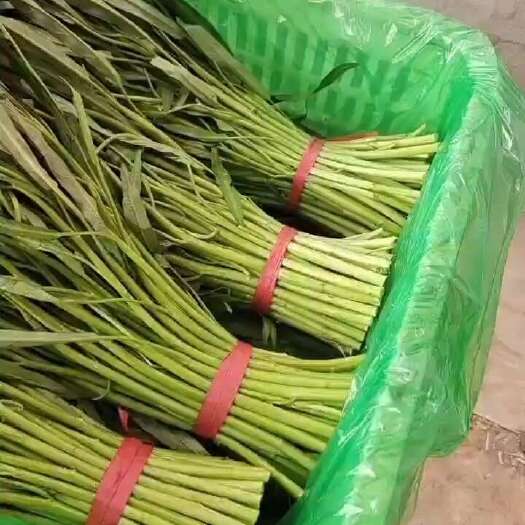 邯郸空心菜