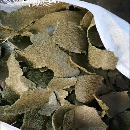 天门市菜籽饼饲料