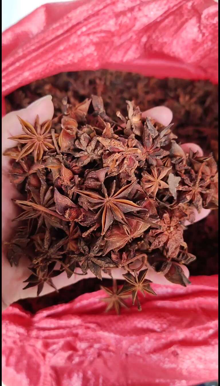 春花八角