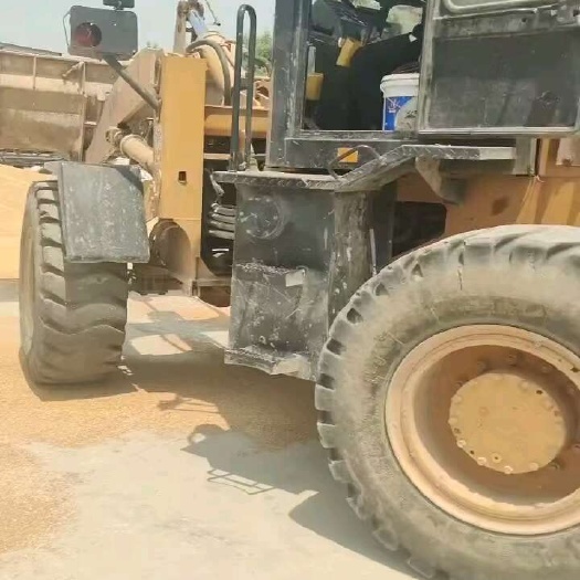 长沙大量河南山东地区小麦