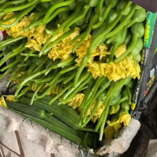 寿光市鲜花丝瓜