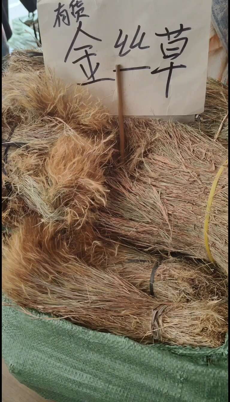 金丝草别名毛毛草笔仔草中草药干货黄毛干货实拍图
