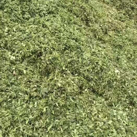 武汉2024年新鲜玉米秸秆，年，羊，马的草料